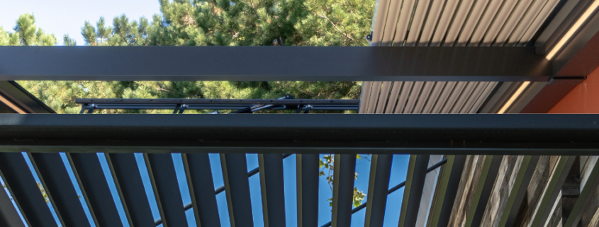 questa immagine rappresenta bene il contenuto dell'articolo.